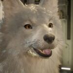بازگشت سازندگان Beast of Reincarnation: آپدیت دوم با تمرکز بر دوربین و نبردها