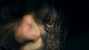 معرفی Ritual Tides اثر خالق GTA 5 ترکیبی ترسناک از Silent Hill و Resident Evil